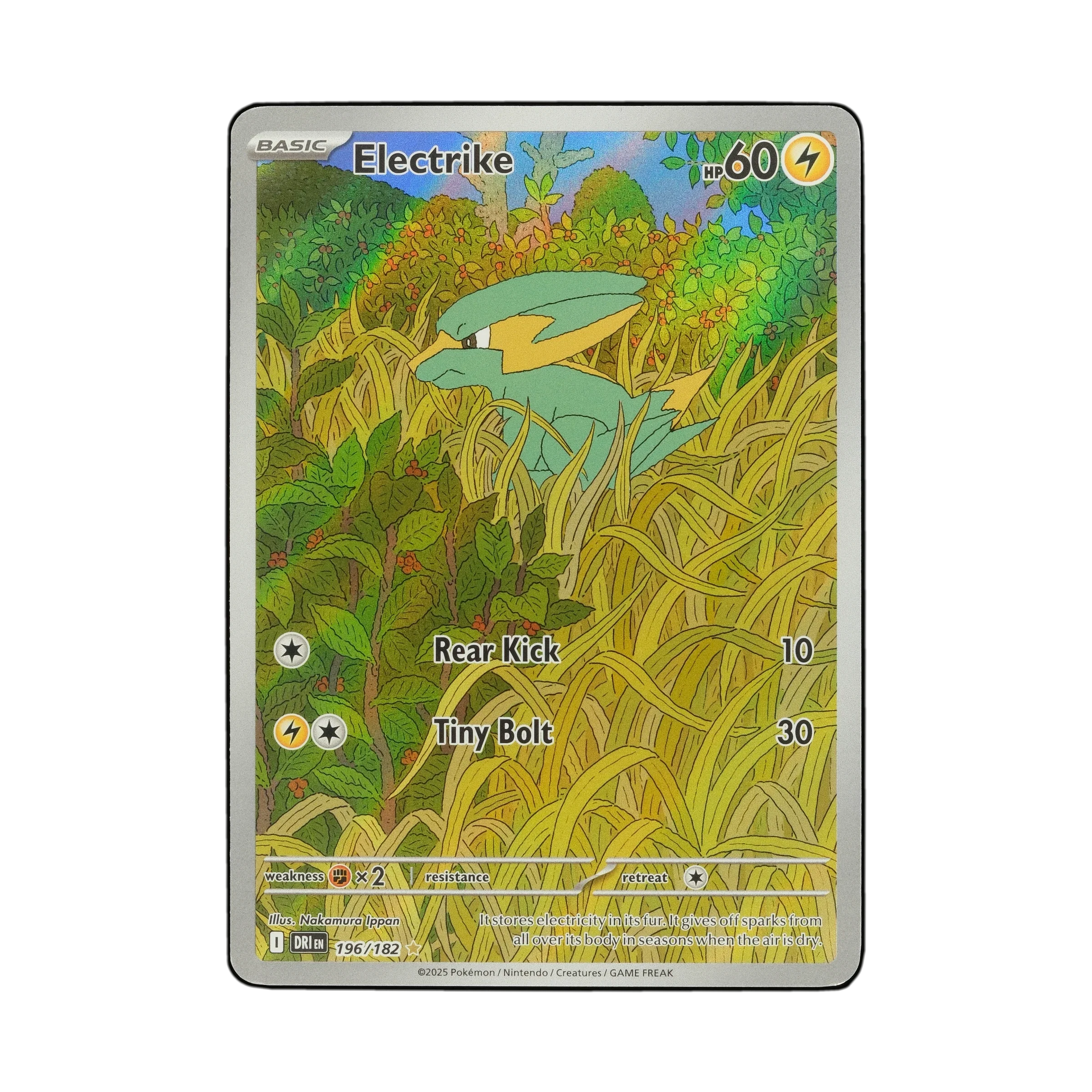 detective pikachu all pokemon cards Pokemon Detective Pikachu Charizard GX Case File